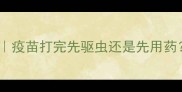 幼猫驱虫疫苗顺序表疫苗打完先驱虫还是先用药新手养猫必看干货
