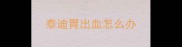 泰迪胃出血怎么办