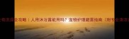 哈士奇洗澡全攻略人用沐浴露能用吗宠物护理避雷指南附专业清洁方案