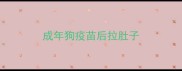 成年狗疫苗后拉肚子