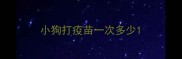 小狗打疫苗一次多少