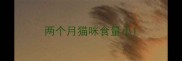 两个月猫咪食量小