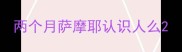 两个月萨摩耶认识人么