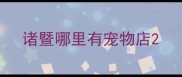 诸暨哪里有宠物店