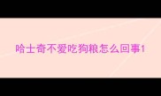 哈士奇不爱吃狗粮怎么回事