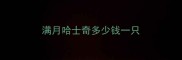 满月哈士奇多少钱一只