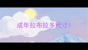 成年拉布拉多尺寸