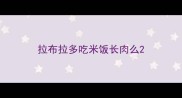 拉布拉多吃米饭长肉么