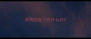 狗狗拉肚子吃什么好