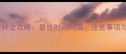 狗狗疫苗接种全攻略最佳时间间隔注意事项与常见误区