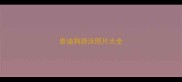 泰迪狗游泳照片大全