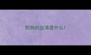狗狗的血清是什么