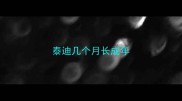 泰迪几个月长成年