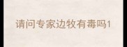 请问专家边牧有毒吗