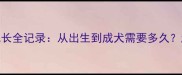 哈士奇幼犬成长全记录从出生到成犬需要多久超全饲养指南