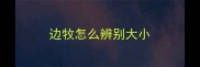 边牧怎么辨别大小