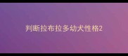 判断拉布拉多幼犬性格
