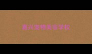 嘉兴宠物美容学校