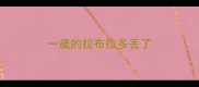 一歲的拉布拉多丟了