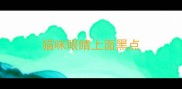 猫咪眼睛上面黑点