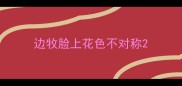 边牧脸上花色不对称