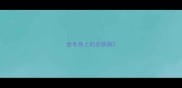 金毛身上的皮肤病