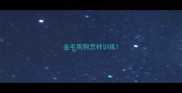 金毛狗狗怎样训练