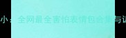 哈士奇胆小全网最全害怕表情包合集与训练指南