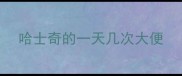哈士奇的一天几次大便
