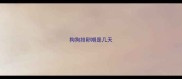 狗狗排卵期是几天