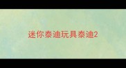 迷你泰迪玩具泰迪
