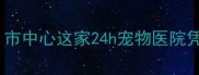 株洲养宠家庭必看市中心这家24h宠物医院凭啥成网红打卡地