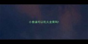 小泰迪可以吃火龙果吗