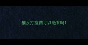 猫没打疫苗可以绝育吗