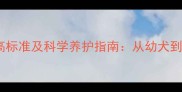 哈士奇成年后的身高标准及科学养护指南从幼犬到成年的体型变化全