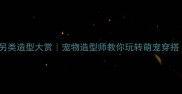 拉布拉多另类造型大赏宠物造型师教你玩转萌宠穿搭附教程