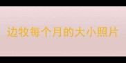 边牧每个月的大小照片