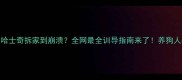1岁半哈士奇拆家到崩溃全网最全训导指南来了养狗人必看
