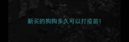新买的狗狗多久可以打疫苗