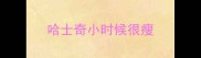 哈士奇小时候很瘦