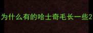 为什么有的哈士奇毛长一些