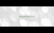 公的拉布拉多怎么养