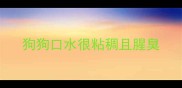 狗狗口水很粘稠且腥臭