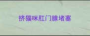 挤猫咪肛门腺堵塞
