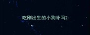 吃刚出生的小狗补吗