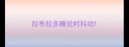 拉布拉多睡觉时抖动