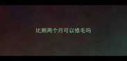 比熊两个月可以修毛吗
