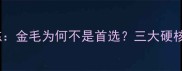 警犬训练金毛为何不是首选三大硬核优势
