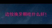 边牧换牙期吃什么好