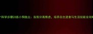 5个科学步骤训练小狗独立告别分离焦虑培养自主进食与生活技能全攻略